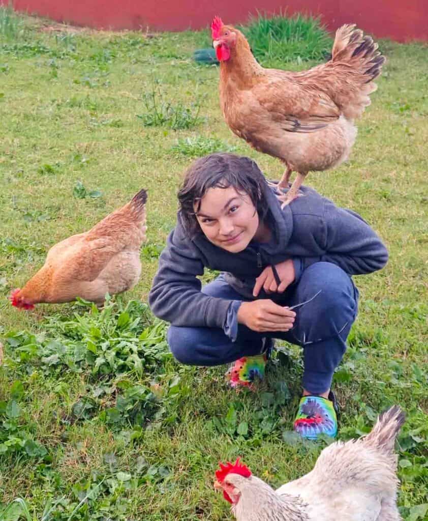 A person squats on grass with three chickens nearby; one chicken is perched on their shoulder while the others peck at the ground.